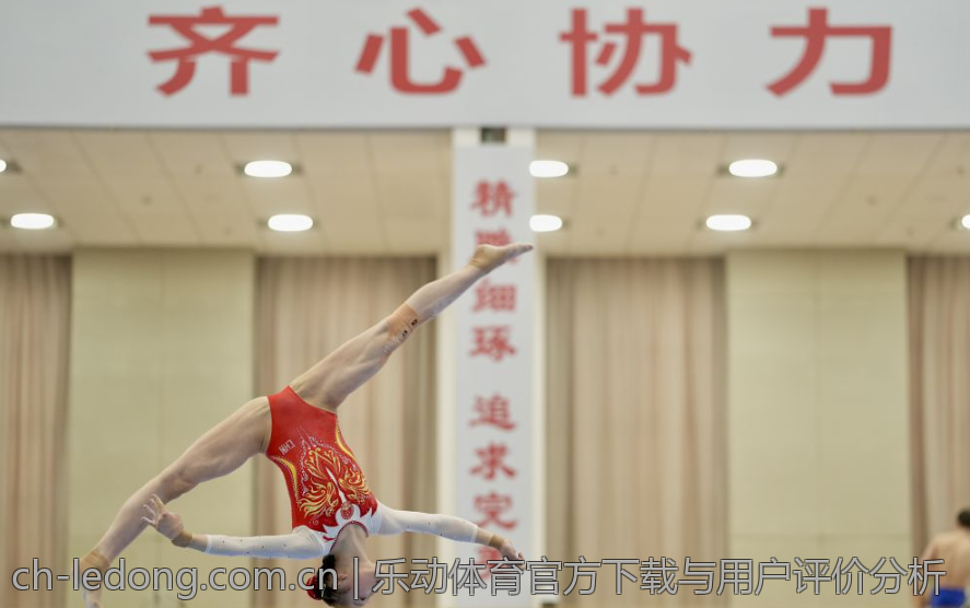 乐动体育官方下载与用户评价分析