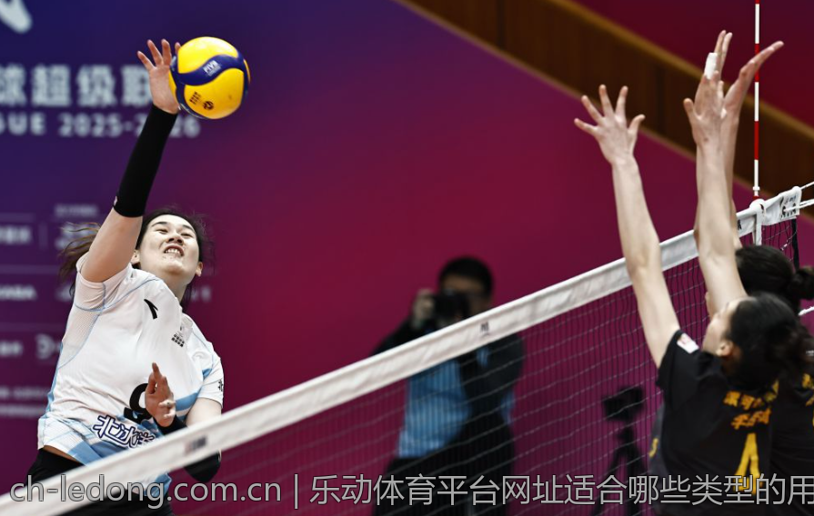 乐动体育平台网址适合哪些类型的用户
