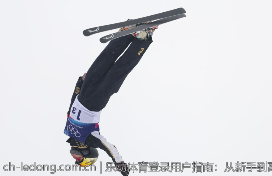 乐动体育登录用户指南：从新手到高手