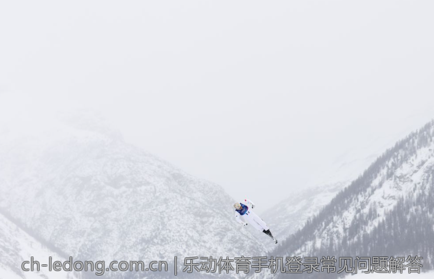 乐动体育手机登录常见问题解答