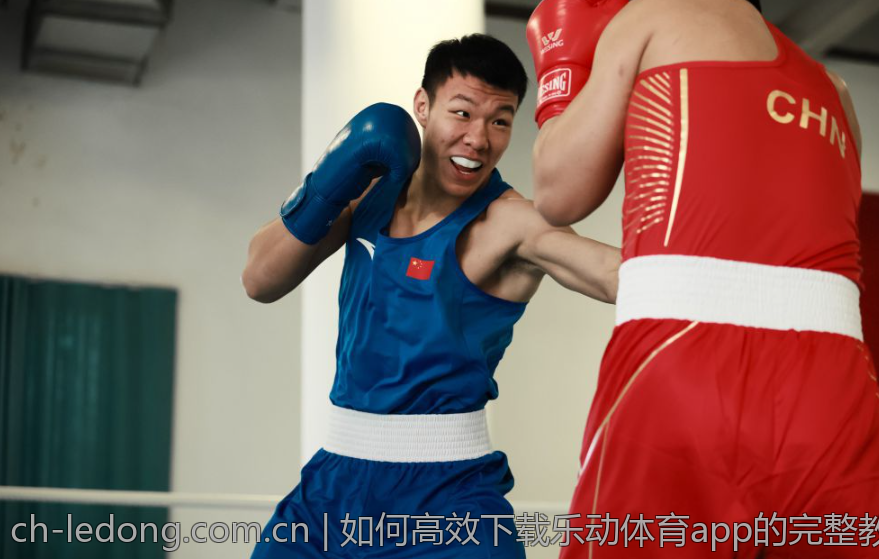 如何高效下载乐动体育app的完整教程